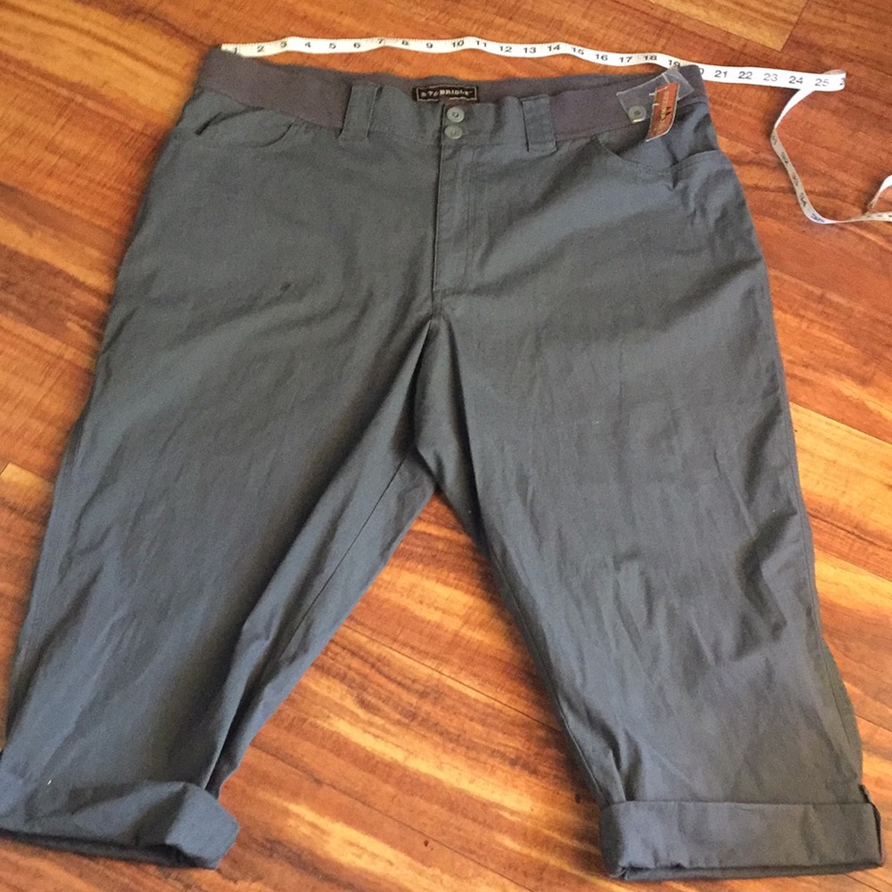 BIT & BRIDLE gray capris size 2X New